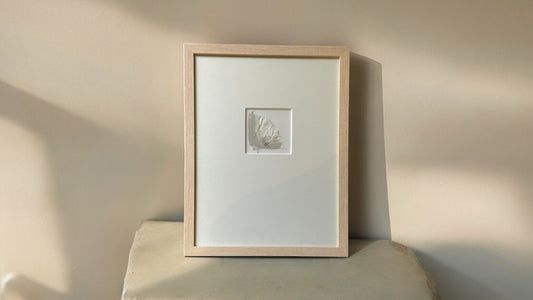 Terrain Moments Series - DVO - #1119