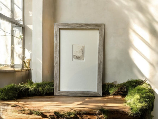 Terrain Moments Series - DVO - #1122