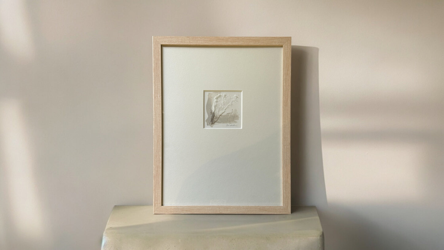 Terrain Moments Series - DVO -  #1120