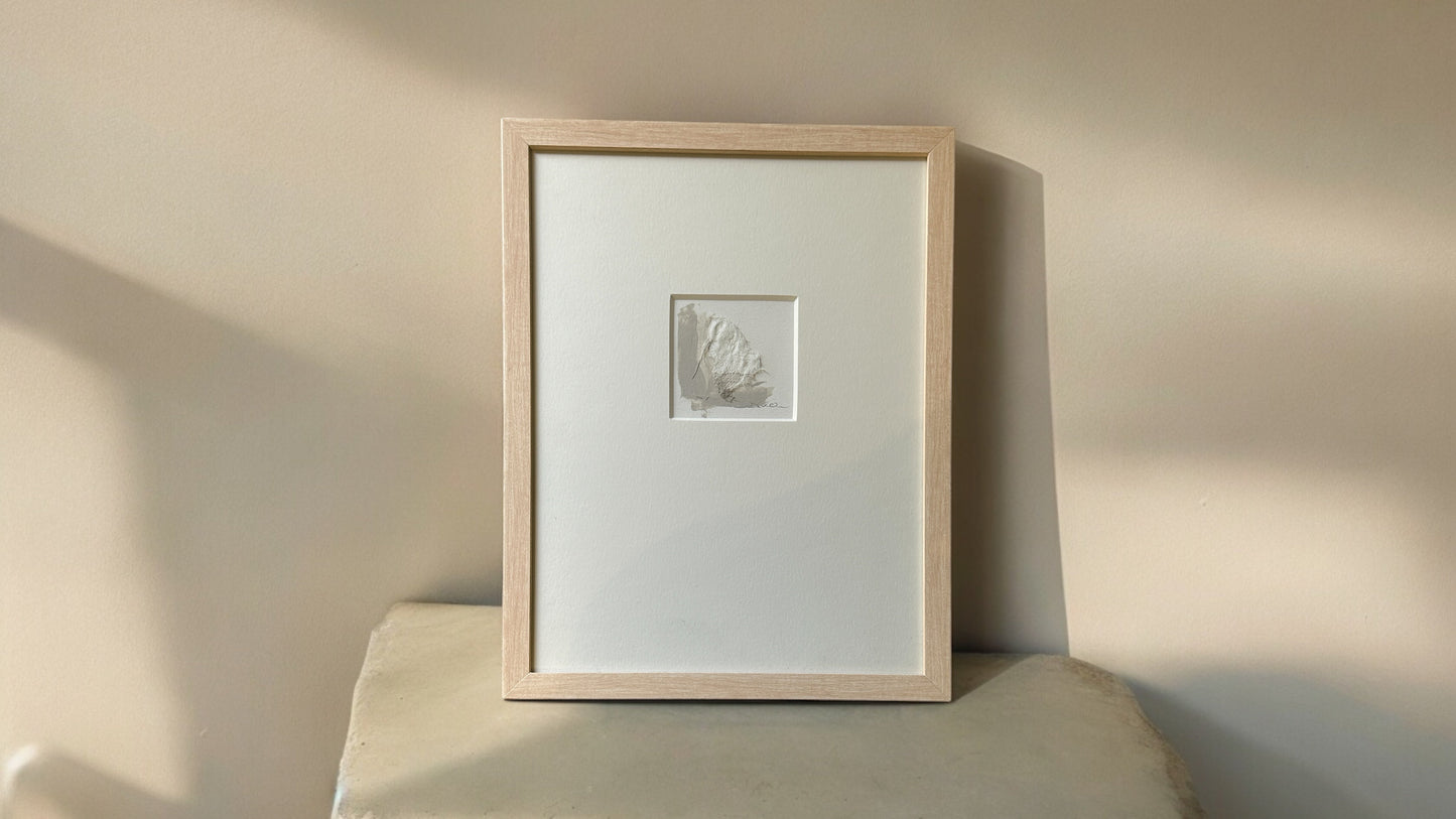 Terrain Moments Series - DVO -  #1119