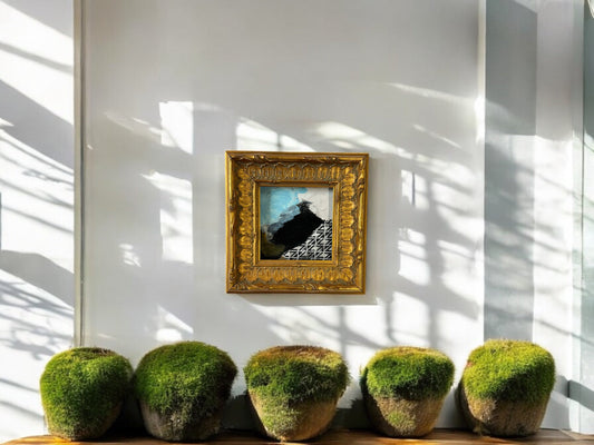 Current Trends Series - DVO -  #1005