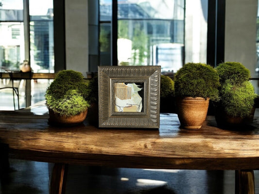 Current Trends Series - DVO -  #1008