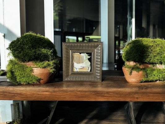 Current Trends Series - DVO -  #1008