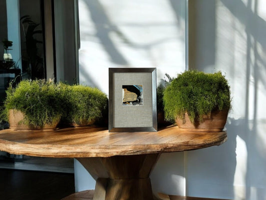 Current Trends Series - DVO -  #1022